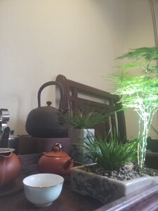 20250313_101728.jpg
