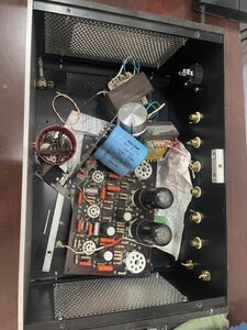 IMG_8239.jpeg