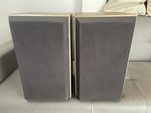 IMG_6880.jpeg