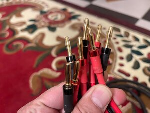 IMG_2369.jpeg