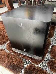 IMG_9317.jpeg
