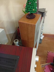 IMG_20250317_224739.jpg