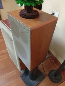 IMG_20250317_224718.jpg
