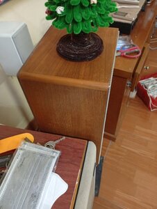 IMG_20250317_224733.jpg