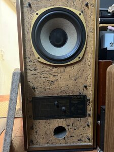 IMG_6539.jpeg