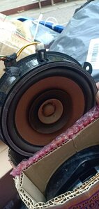 IMG_5304.jpeg