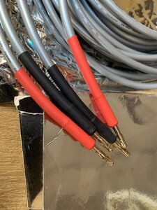 IMG_6526.jpeg
