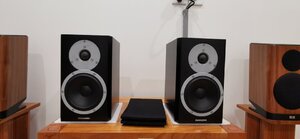 IMG_20250408_201102.jpg