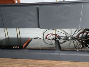 20250318_114108.jpg