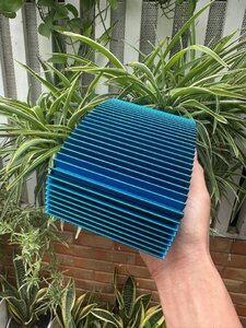 IMG_9430.jpeg