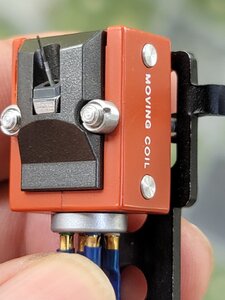 20250410_083554.jpg