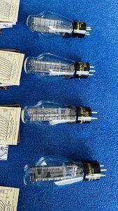 IMG_5530.jpeg