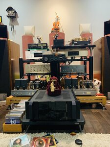 IMG_6251.jpeg