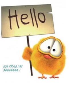 hi_hello quà.jpg