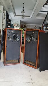 20241026_150943.jpg