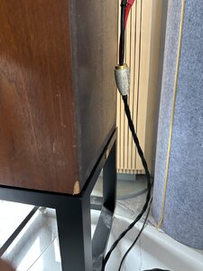 IMG_0313.jpeg
