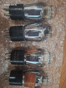 20250428_114550.jpg
