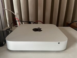 IMG_1559.jpeg