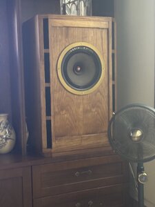 IMG_0357.jpeg