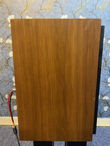 IMG_2595.jpeg