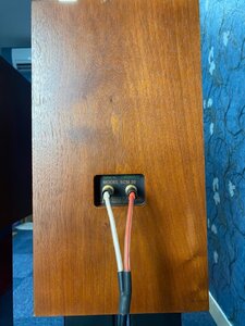 IMG_2602.jpeg