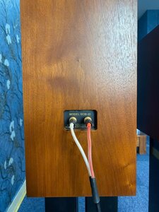 IMG_2603.jpeg