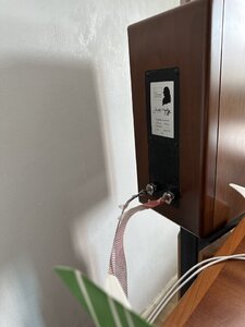 IMG_3692.jpeg