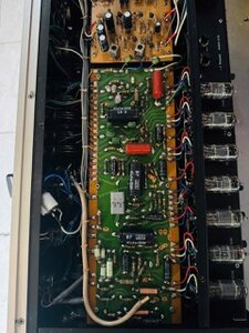 IMG_2835.jpeg