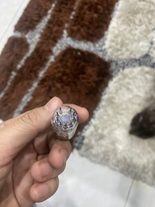 IMG_9239.jpeg