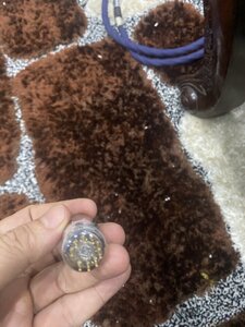 IMG_9236.jpeg