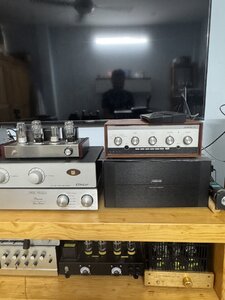 IMG_2931.jpeg