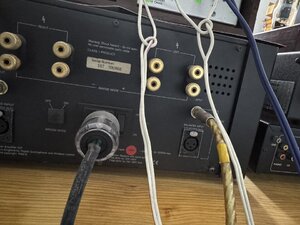 IMG_2933.jpeg