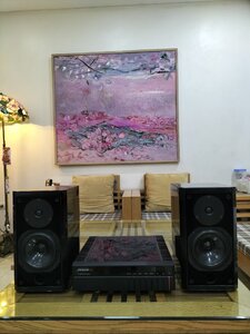 IMG20250503104020.jpg