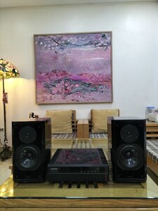 IMG20250503104121.jpg