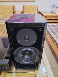 IMG20250503104917.jpg