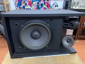 IMG_1515.jpeg