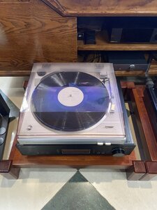 IMG_8806.jpeg