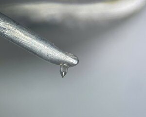 IMG_20250506_173451.jpg