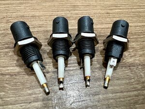 IMG_5031.jpeg