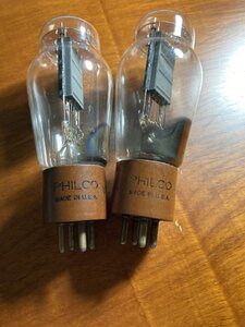 IMG_2098.jpeg