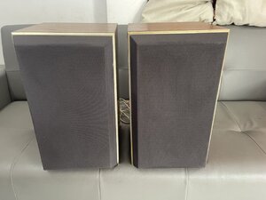 IMG_6879.jpeg