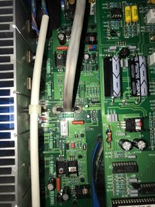 IMG_1475.jpeg