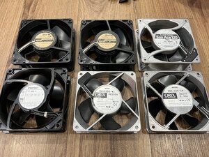 IMG_5183.jpeg
