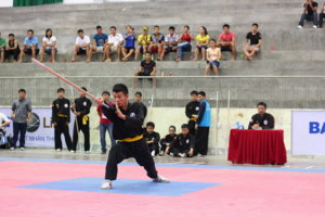 b55eb893ceh-dinh.jpg.jpg
