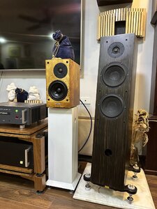 IMG_3310.jpeg