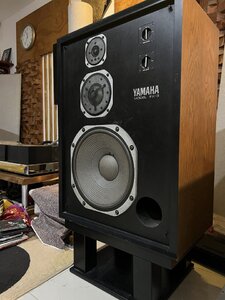 IMG_6779.jpeg
