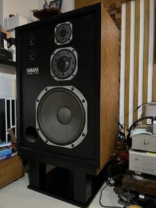 IMG_6773.jpeg