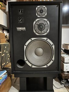 IMG_6774.jpeg