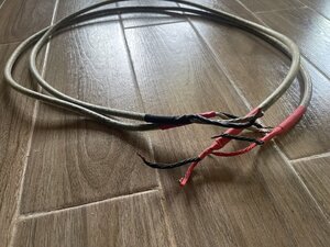 IMG_2707.jpeg
