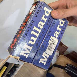 IMG_2589.jpeg